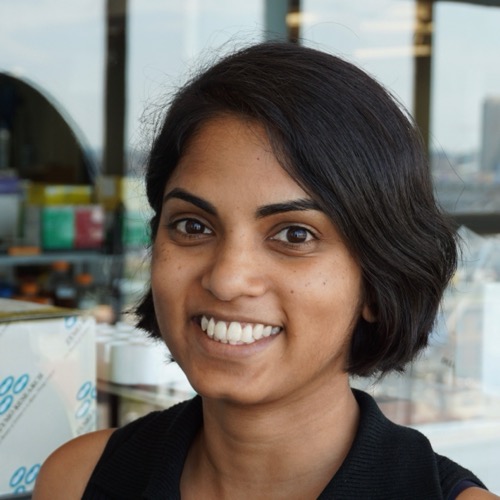 Diveena Becker - avatar